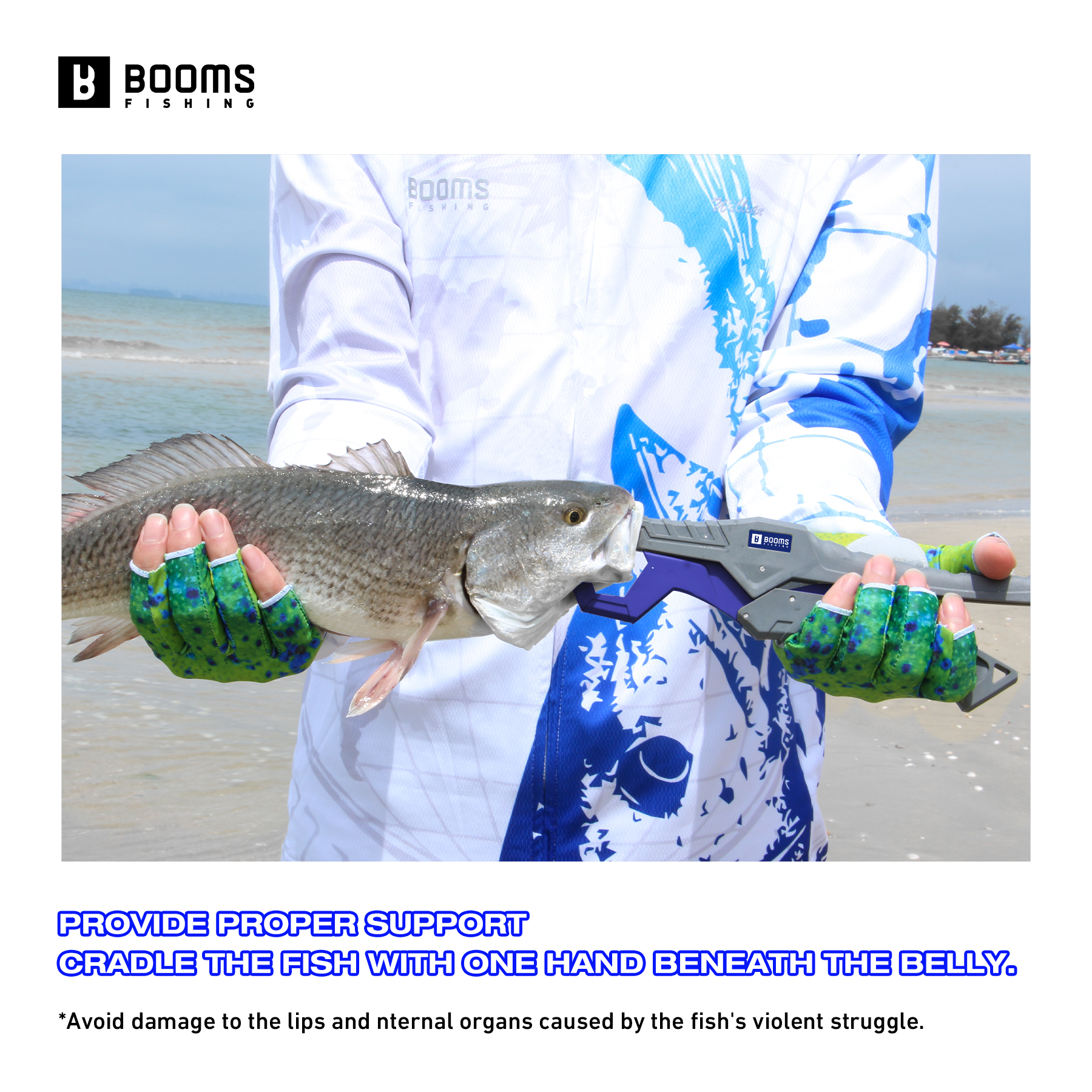 Booms Fishing 23cm Pliers and  - Fishing Line Cutter 리뷰 및 가격