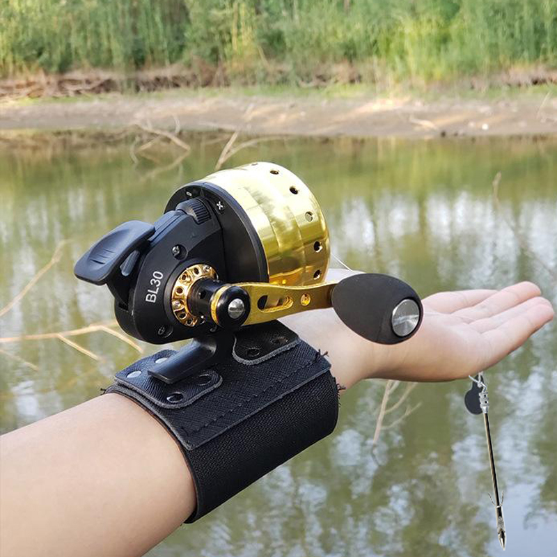 Closed Reel BL30 Fishing 4+1BB - Fishing Line Spool 리뷰 및 가격